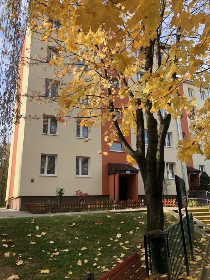 בוצ'ניה Apartament Krakowska מראה חיצוני תמונה